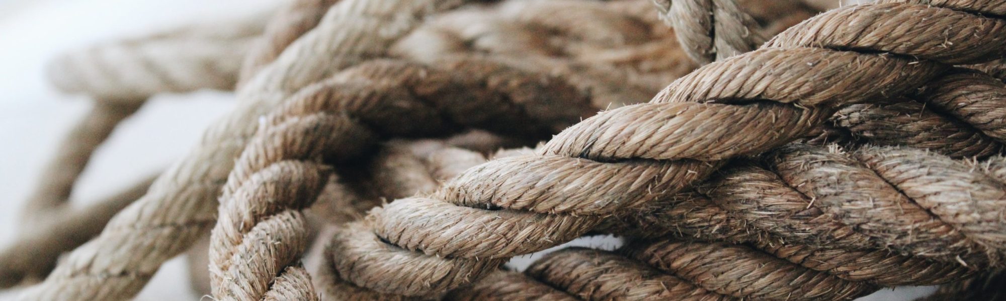 pexels-noelle-otto-906060 pexels-noelle-otto-906060